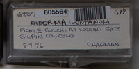 Image Associated With the Occurence